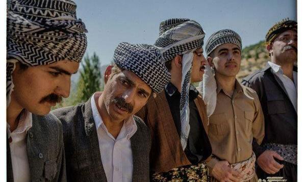 «درخت گردو» پروانه نمایش گرفت/ صدور مجوز برای «مردن در آب مطهر»