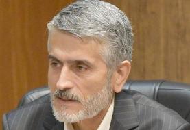 تعطیلی ۴۲ بازار روز تهران / جمع آوری‌ ۸۰ سگ که سرفه می کردند