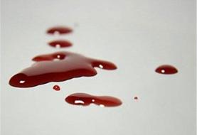 ماجرای پیچیده زن تاجر و مرد جوانی که پرستار مادرش بود