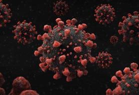 بانوی ۸۵ ساله بابلی کرونا را شکست داد