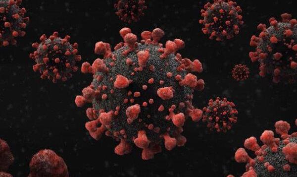 بهبودی کامل بانوی ۸۵ ساله ایرانی مبتلا به کرونا