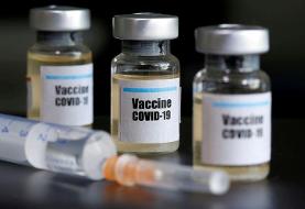 Coronavirus vaccine safe in early trial, hydroxychloroquine may increase death risk