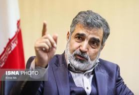 شرط ایران برای امکان دسترسی آژانس از زبان کمالوندی