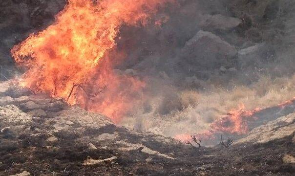 دستگیری عاملان آتش سوزی کوه‌های بهمرد دشتستان