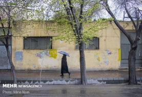بارش پراکنده و رعدوبرق برای ۵استان/خلیج‌فارس مواج است