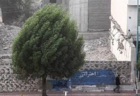 وضعیت آب و هوا، امروز ۲ تیر ۹۹