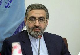 پیگیر مرگ قاضی منصوری از طریق اینترپل و وزارت امور خارجه هستیم