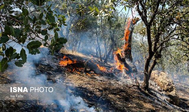 ۱۰ سال حبس برای آتش زنندگان مراتع