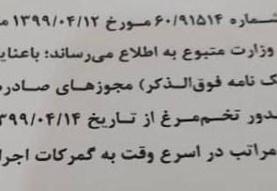 تمام مجوزهای صادرات تخم‌مرغ لغو شد