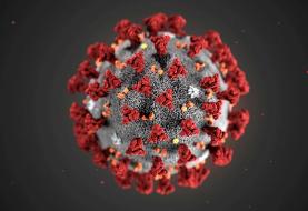 Coronavirus may spread farther than 6 feet indoors