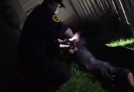 Police officers set dog on black man and say ‘good boy, good boy’ as it bites his leg