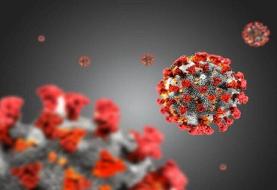 ابهامات واکسن کرونا در دنیا | مبتلایان بدون علامت معضل بزرگ در راه مبارزه با کرونا 