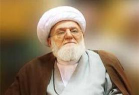 وزیر خارجه درگذشت آیت الله تسخیری را تسلیت گفت