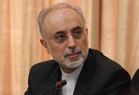 صالحی رحلت آیت الله تسخیری را تسلیت گفت