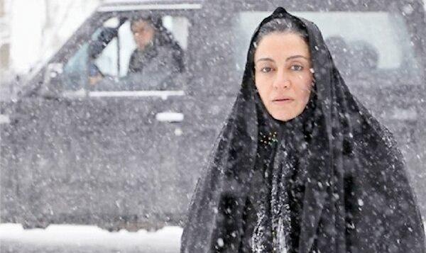 مورد عجیب قاچاق خرس: تهیه‌کننده و پخش‌کننده یکدیگر را متهم کردند