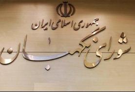 نظارت بر انتخابات فقط بر عهده شورای نگهبان است
