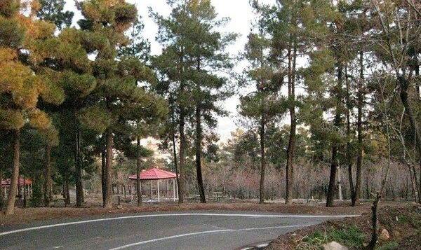 مرجع مدیریت پارک‌های جنگلی تهران تغییر کرد