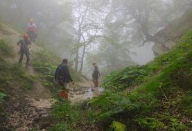 جستجوی همه‌جانبه برای یافتن جوان گمشده در پارک جنگلی کردکوی