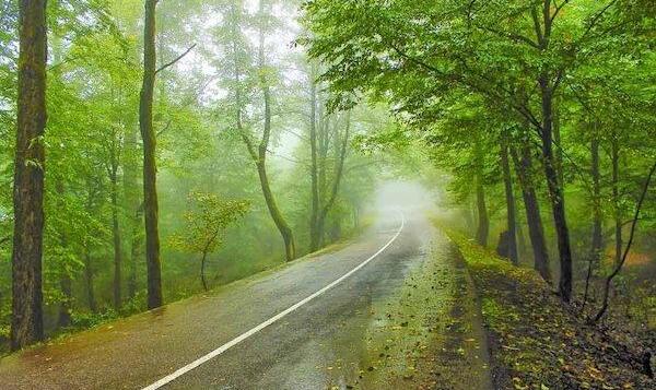 کاهش ۴ تا ۶ درجه‌ای دما در نوار شمالی کشور | آسمان صاف تا کمی ابری در تهران