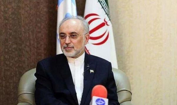 علی اکبر صالحی: برنامه‌های اتمی ایران با ساخت تأسیساتی در دل کوه‌های ...