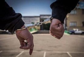 ضاربان محیط‌بان استان تهران دستگیر شدند