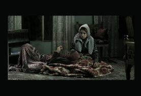 «بوتاکس» برای حضور در جشنواره جهانی فیلم فجر ارائه می‌شود