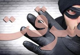 اسپایدرمن دزد کلیپ به دام افتاد | ماجرای کلیپ جنجالی دزدی آجودانیه چه بود؟