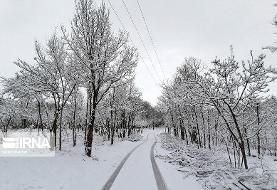 استان‌هایی که باید در انتظار برف و باران در پایان ماه اول زمستان باشند