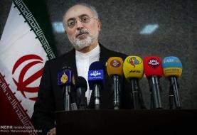 صالحی فرا رسیدن سالگرد سانحه سقوط هواپیمای اوکراینی را تسلیت گفت