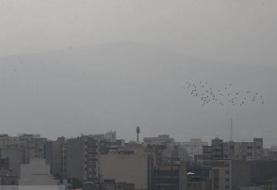 افزایش ۸ تا ۱۲ درجه‌ای دمای هوا در برخی مناطق کشور