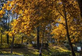 افزایش دمای تهران از فردا