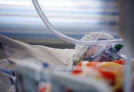 روایت خانواده 