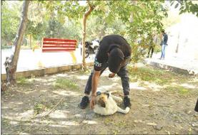 اعتیاد سگها در پاتوق معتادان!