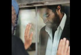 درخشش قهرمان در انجمن‌های سینمایی آمریکا