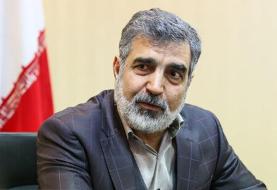 کمالوندی: ما و آژانس با هم راحت نیستیم