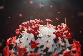 نخستین مورد اُمیکرون از کدام کشور وارد ایران شد؟ | فرد مبتلا ساکن کدام شهر ایران است؟