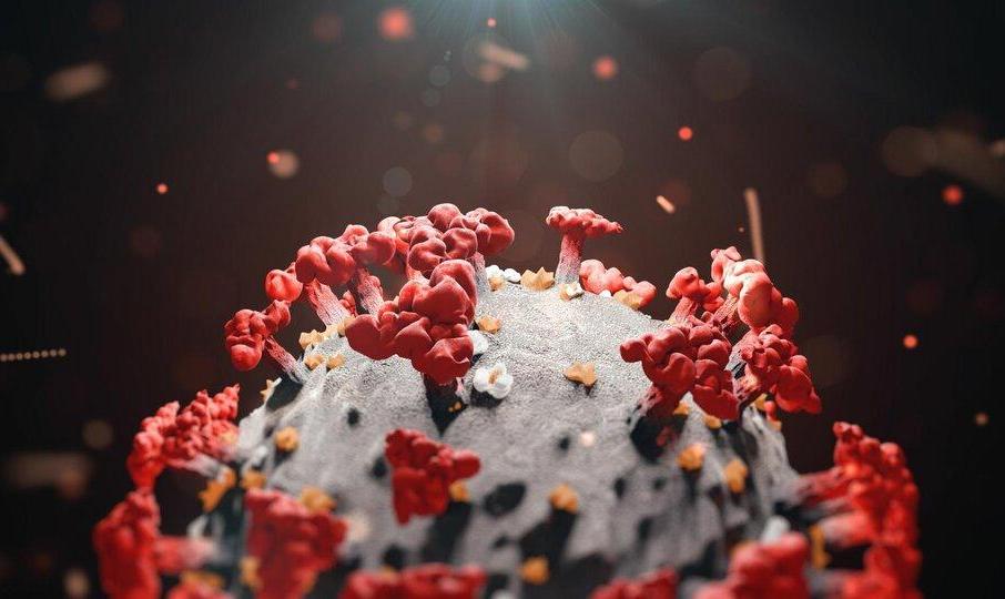 نخستین مورد اُمیکرون از کدام کشور وارد ایران شد؟ | فرد مبتلا ساکن کدام ...