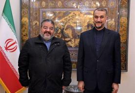 امیرعبداللهیان: بخاطر حملات سایبری به مجامع بین‌المللی شکایت می‌کنیم