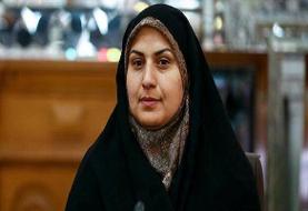 طرح شفافیت آرا برای تصویب ۳ رای کم آورد/طرحی جامع تهیه می‌کنیم