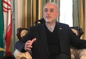 صالحی: رهبر انقلاب حرف نهایی را درباره سلاح اتمی زده‌اند