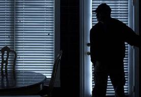 واکنش پلیس به خبر سرقت از خانه آزیتا ترکاشوند