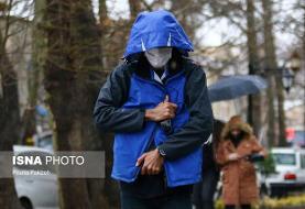 بارش باران و وزش باد شدید در ۸ استان/ در حریم رودخانهها اتراق نکنید