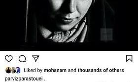 پرویز پرستویی: حداقل روح آزاده نامداری را آسوده بگذاریم