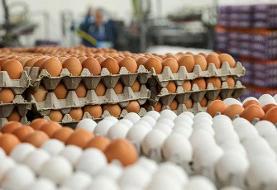 کاهش قیمت تخم مرغ درمیادین تره بار + نرخ جدید