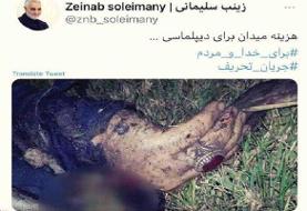 هزینه میدان برای دیپلماسی ...