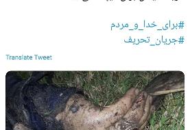 واکنش فرزند شهید سلیمانی به صوت جنجالی ظریف