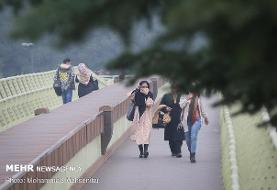 وزش باد شدید در اکثر نقاط کشور/ فردا تهران ابری است