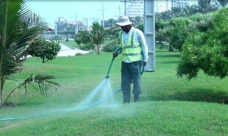 تبدیل پارکینگ غیرمجاز شمال تهران به فضای سبز