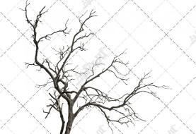 افزایش تدریجی دما در اغلب مناطق کشور