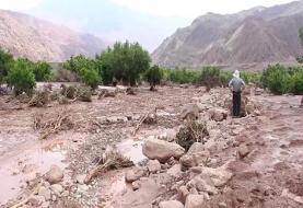 ️بارش های موسمی و سیلاب در ۳ استان/ یک نفر جان باخت